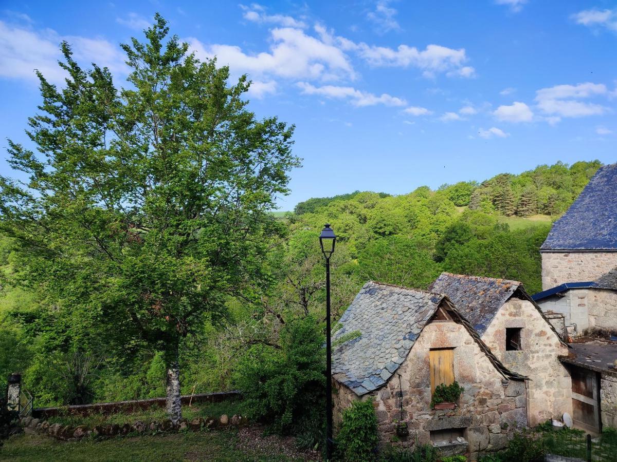Maison Charmante A Florentin La Capelle Avec Jardin Et Vue Montagne Exteriör bild