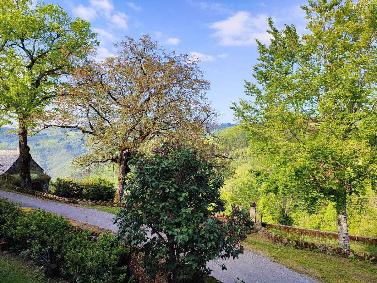 Maison Charmante A Florentin La Capelle Avec Jardin Et Vue Montagne Exteriör bild