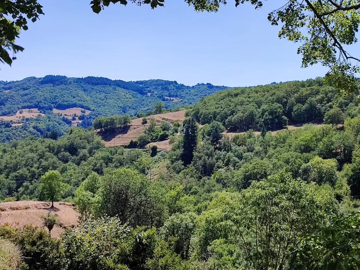 Maison Charmante A Florentin La Capelle Avec Jardin Et Vue Montagne Exteriör bild